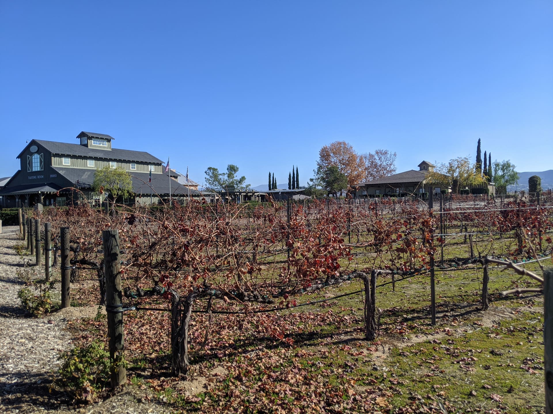Wine tasting room beside Ponte Vineyard Inn